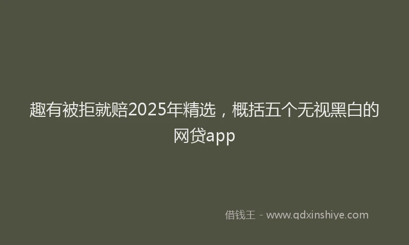 趣有被拒就赔2025年精选，概括五个无视黑白的网贷app