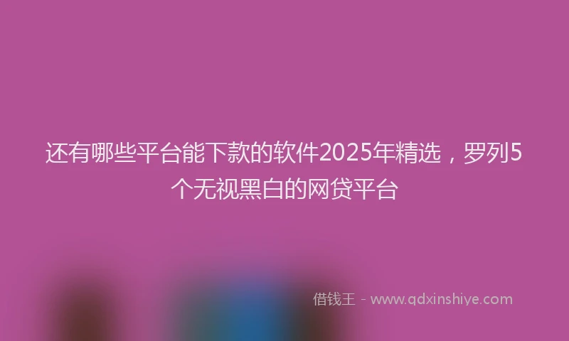 还有哪些平台能下款的软件2025年精选，罗列5个无视黑白的网贷平台