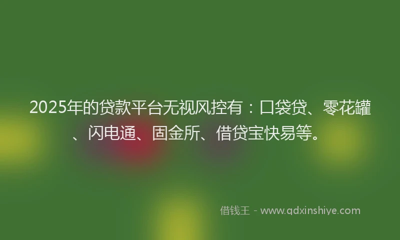 2025年的贷款平台无视风控有：口袋贷、零花罐、闪电通、固金所、借贷宝快易等。