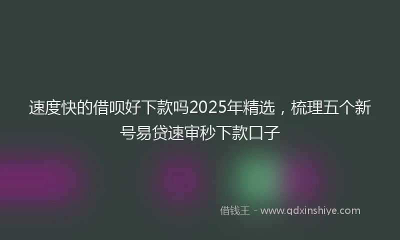 速度快的借呗好下款吗2025年精选，梳理五个新号易贷速审秒下款口子