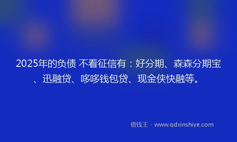 2025年的负债 不看征信有：好分期、森森分期宝、迅融贷、哆哆钱包贷、现金侠快融等。