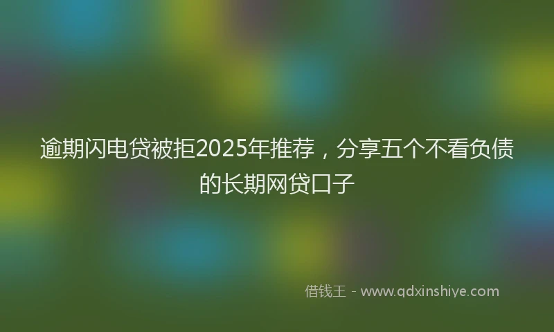 逾期闪电贷被拒2025年推荐，分享五个不看负债的长期网贷口子