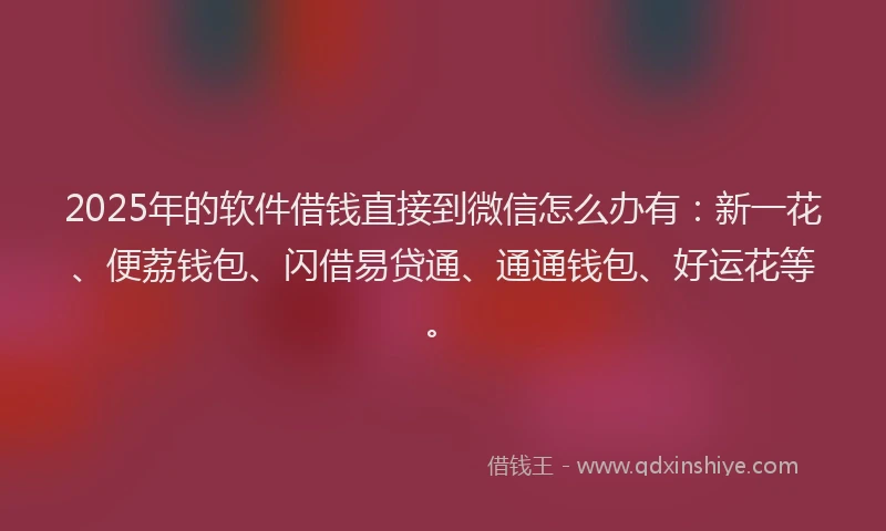 2025年的软件借钱直接到微信怎么办有：新一花、便荔钱包、闪借易贷通、通通钱包、好运花等。