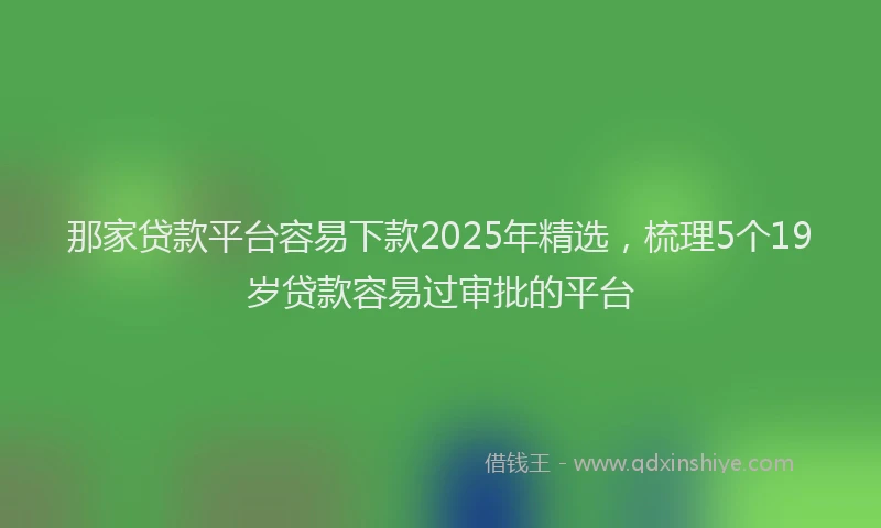 那家贷款平台容易下款2025年精选，梳理5个19岁贷款容易过审批的平台