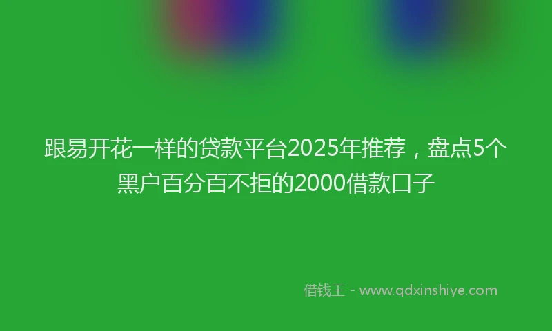 跟易开花一样的贷款平台2025年推荐，盘点5个黑户百分百不拒的2000借款口子