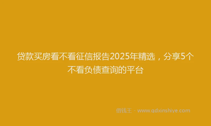 贷款买房看不看征信报告2025年精选，分享5个不看负债查询的平台