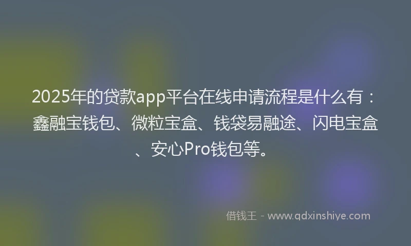 2025年的贷款app平台在线申请流程是什么有：鑫融宝钱包、微粒宝盒、钱袋易融途、闪电宝盒、安心Pro钱包等。