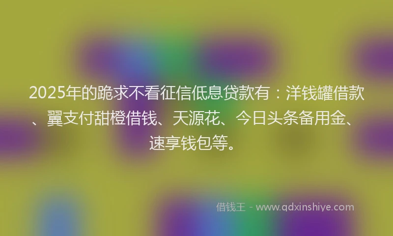 2025年的跪求不看征信低息贷款有：洋钱罐借款、翼支付甜橙借钱、天源花、今日头条备用金、速享钱包等。