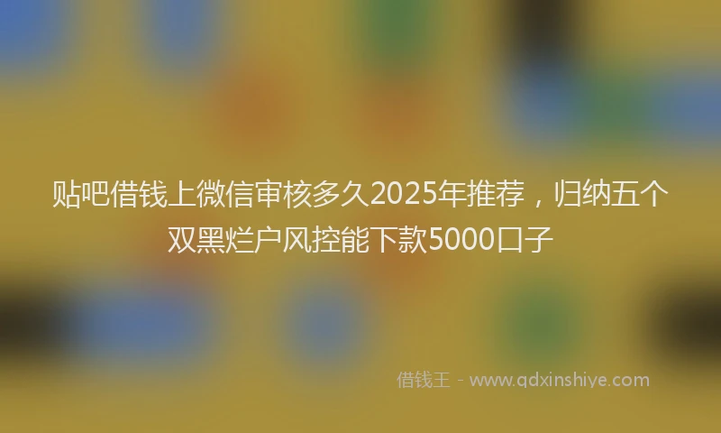 贴吧借钱上微信审核多久2025年推荐，归纳五个双黑烂户风控能下款5000口子