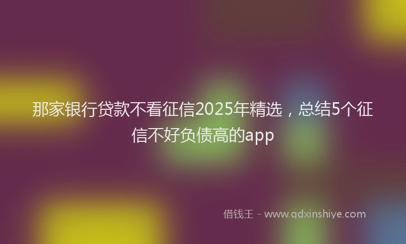 那家银行贷款不看征信2025年精选，总结5个征信不好负债高的app
