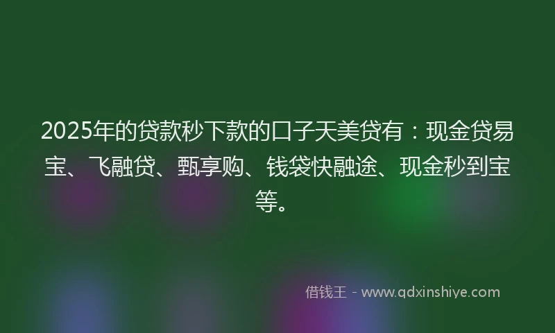 2025年的贷款秒下款的口子天美贷有：现金贷易宝、飞融贷、甄享购、钱袋快融途、现金秒到宝等。