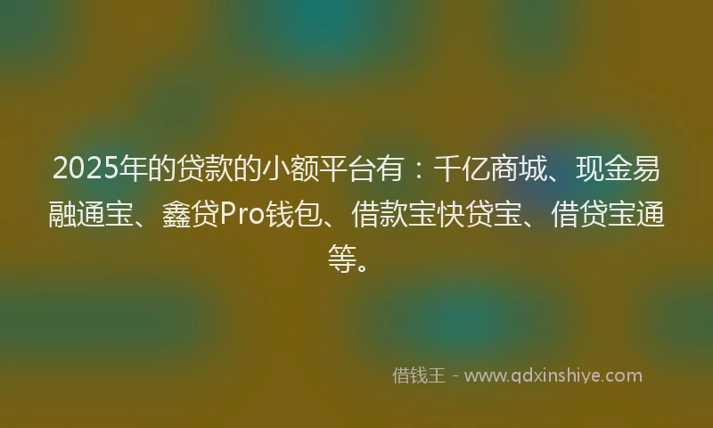 2025年的贷款的小额平台有：千亿商城、现金易融通宝、鑫贷Pro钱包、借款宝快贷宝、借贷宝通等。