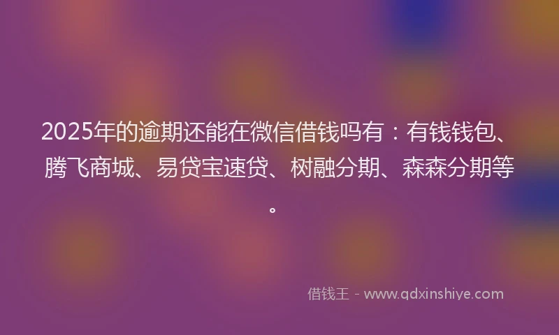 2025年的逾期还能在微信借钱吗有：有钱钱包、腾飞商城、易贷宝速贷、树融分期、森森分期等。