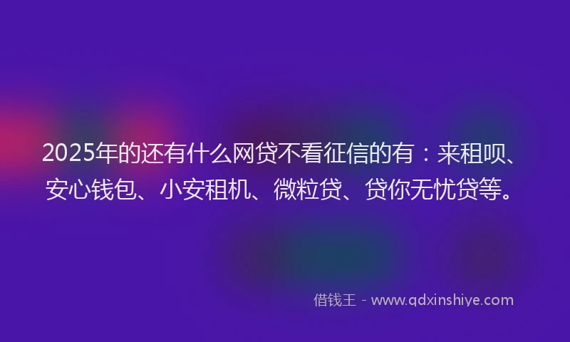 2025年的还有什么网贷不看征信的有：来租呗、安心钱包、小安租机、微粒贷、贷你无忧贷等。