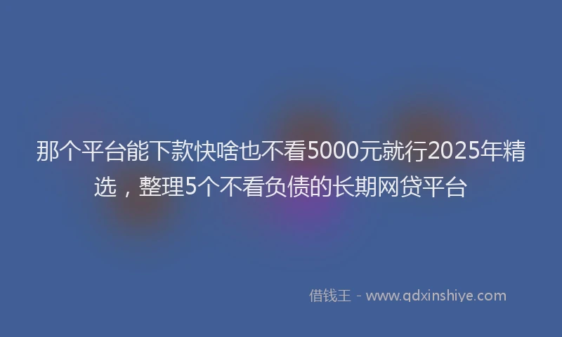 那个平台能下款快啥也不看5000元就行2025年精选，整理5个不看负债的长期网贷平台