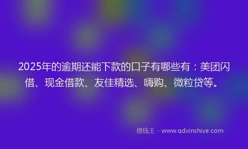 2025年的逾期还能下款的口子有哪些有：美团闪借、现金借款、友佳精选、嗨购、微粒贷等。