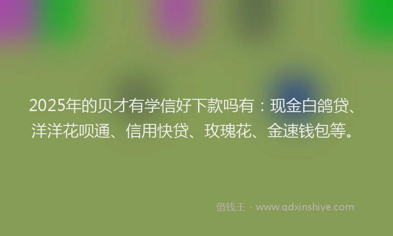 2025年的贝才有学信好下款吗有：现金白鸽贷、洋洋花呗通、信用快贷、玫瑰花、金速钱包等。
