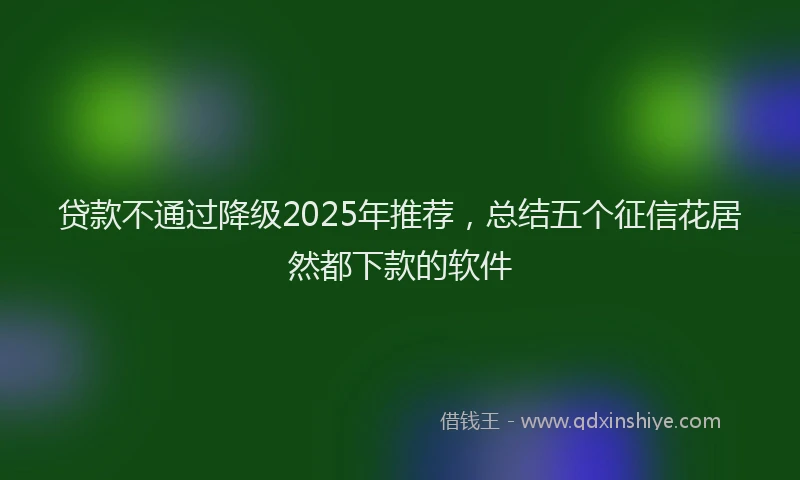 贷款不通过降级2025年推荐，总结五个征信花居然都下款的软件
