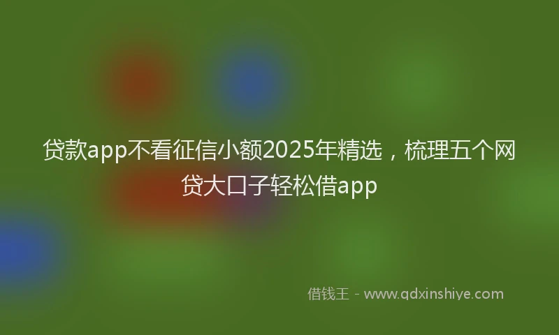 贷款app不看征信小额2025年精选，梳理五个网贷大口子轻松借app