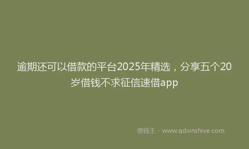 逾期还可以借款的平台2025年精选，分享五个20岁借钱不求征信速借app