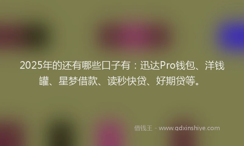 2025年的还有哪些口子有：迅达Pro钱包、洋钱罐、星梦借款、读秒快贷、好期贷等。
