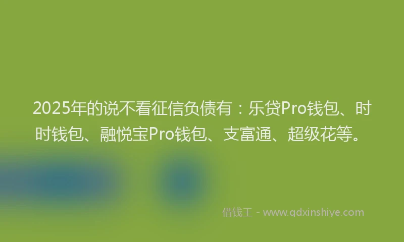 2025年的说不看征信负债有：乐贷Pro钱包、时时钱包、融悦宝Pro钱包、支富通、超级花等。