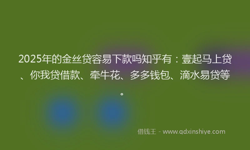 2025年的金丝贷容易下款吗知乎有：壹起马上贷、你我贷借款、牵牛花、多多钱包、滴水易贷等。