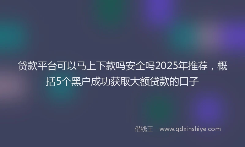 贷款平台可以马上下款吗安全吗2025年推荐，概括5个黑户成功获取大额贷款的口子
