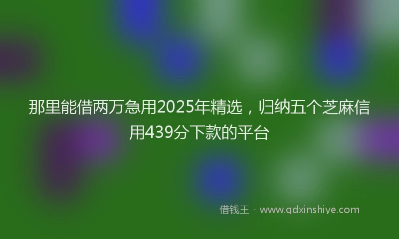 那里能借两万急用2025年精选，归纳五个芝麻信用439分下款的平台