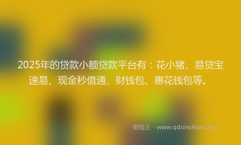 2025年的贷款小额贷款平台有：花小猪、易贷宝速易、现金秒借通、财钱包、惠花钱包等。