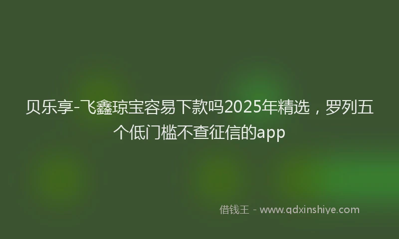 贝乐享-飞鑫琼宝容易下款吗2025年精选，罗列五个低门槛不查征信的app