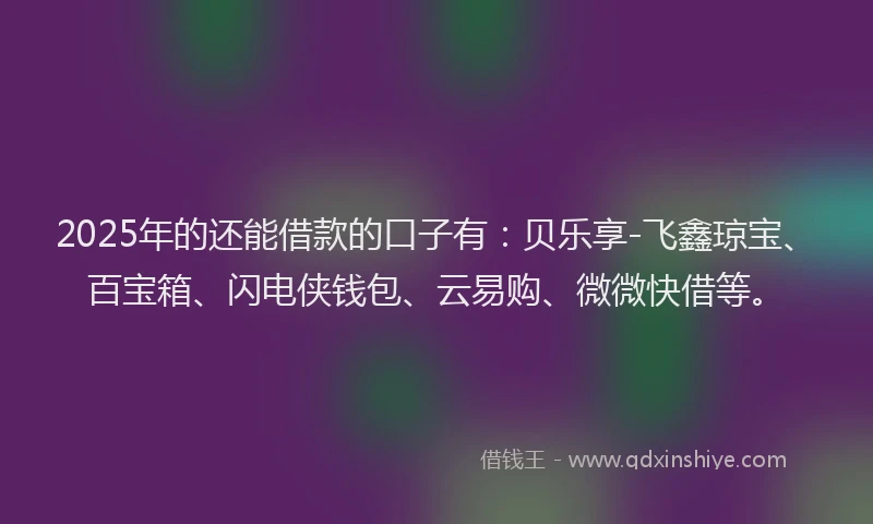 2025年的还能借款的口子有：贝乐享-飞鑫琼宝、百宝箱、闪电侠钱包、云易购、微微快借等。