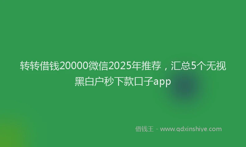转转借钱20000微信2025年推荐，汇总5个无视黑白户秒下款口子app
