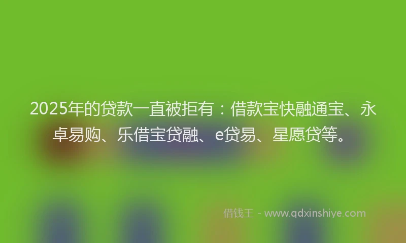 2025年的贷款一直被拒有：借款宝快融通宝、永卓易购、乐借宝贷融、e贷易、星愿贷等。