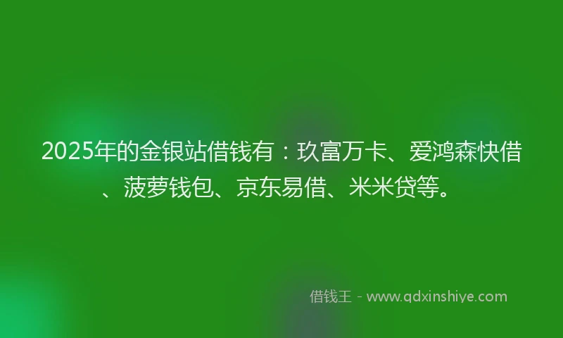 2025年的金银站借钱有：玖富万卡、爱鸿森快借、菠萝钱包、京东易借、米米贷等。