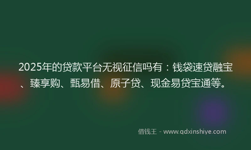 2025年的贷款平台无视征信吗有：钱袋速贷融宝、臻享购、甄易借、原子贷、现金易贷宝通等。