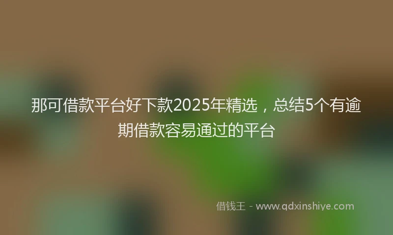 那可借款平台好下款2025年精选，总结5个有逾期借款容易通过的平台