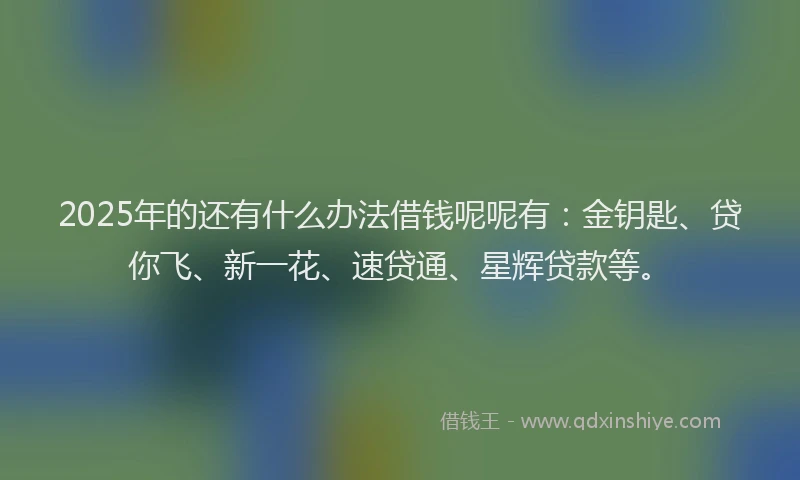 2025年的还有什么办法借钱呢呢有：金钥匙、贷你飞、新一花、速贷通、星辉贷款等。