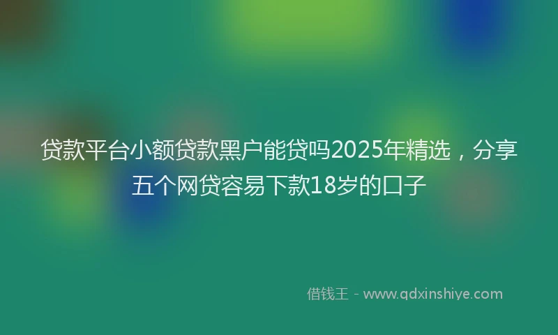 贷款平台小额贷款黑户能贷吗2025年精选，分享五个网贷容易下款18岁的口子