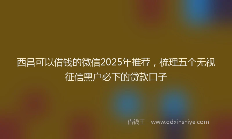 西昌可以借钱的微信2025年推荐，梳理五个无视征信黑户必下的贷款口子