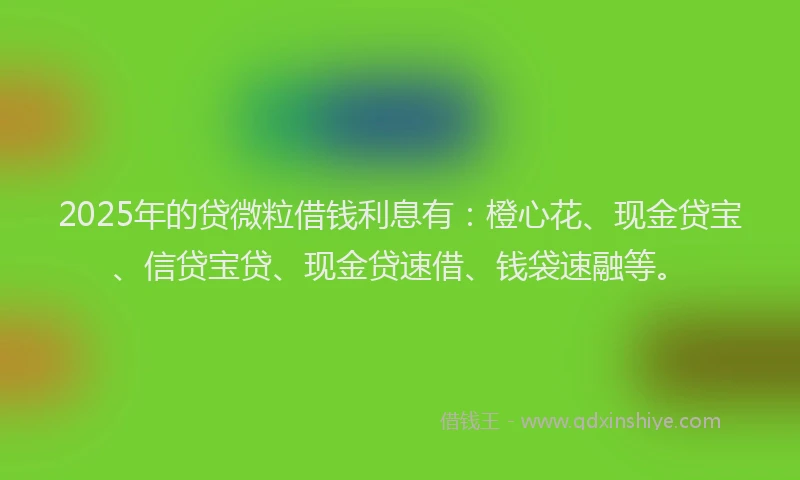 2025年的贷微粒借钱利息有：橙心花、现金贷宝、信贷宝贷、现金贷速借、钱袋速融等。