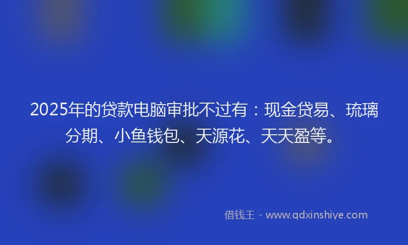 2025年的贷款电脑审批不过有：现金贷易、琉璃分期、小鱼钱包、天源花、天天盈等。