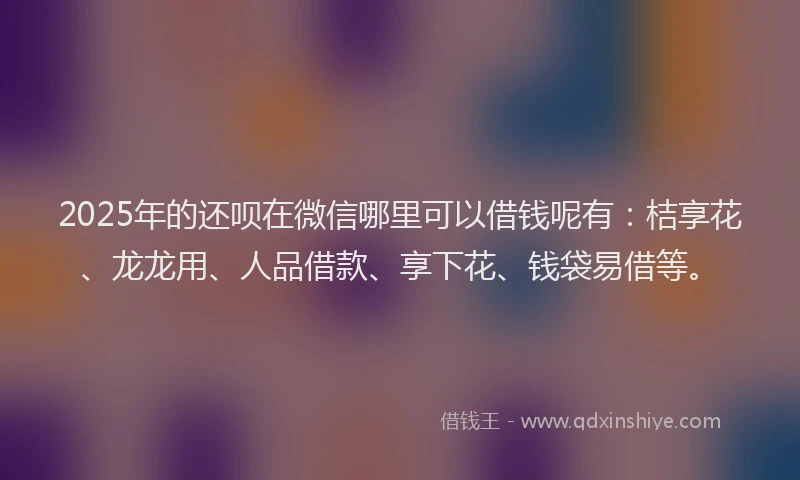 2025年的还呗在微信哪里可以借钱呢有：桔享花、龙龙用、人品借款、享下花、钱袋易借等。