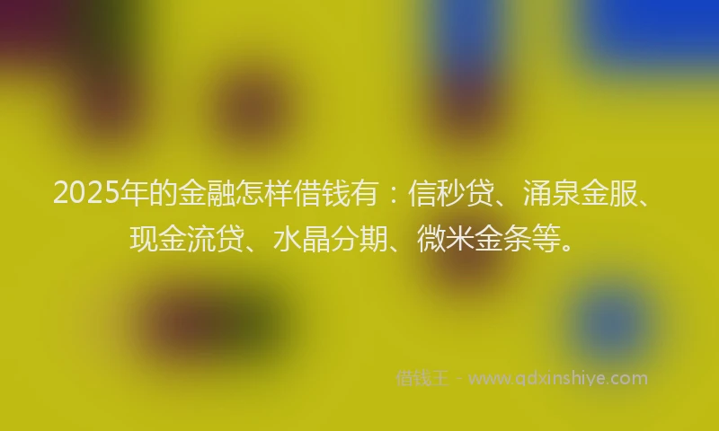 2025年的金融怎样借钱有：信秒贷、涌泉金服、现金流贷、水晶分期、微米金条等。