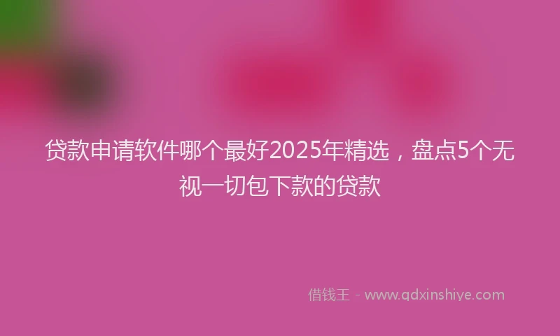 贷款申请软件哪个最好2025年精选，盘点5个无视一切包下款的贷款