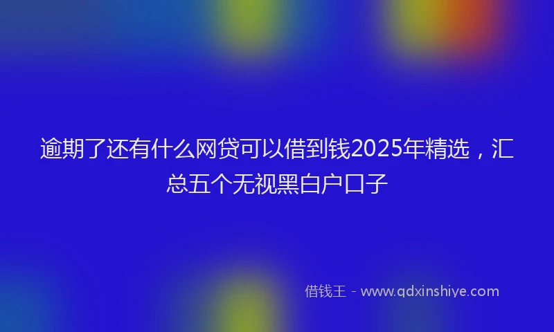 逾期了还有什么网贷可以借到钱2025年精选，汇总五个无视黑白户口子