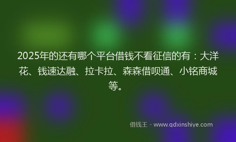 2025年的还有哪个平台借钱不看征信的有：大洋花、钱速达融、拉卡拉、森森借呗通、小铭商城等。