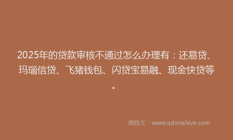 2025年的贷款审核不通过怎么办理有：还易贷、玛瑙信贷、飞猪钱包、闪贷宝易融、现金快贷等。