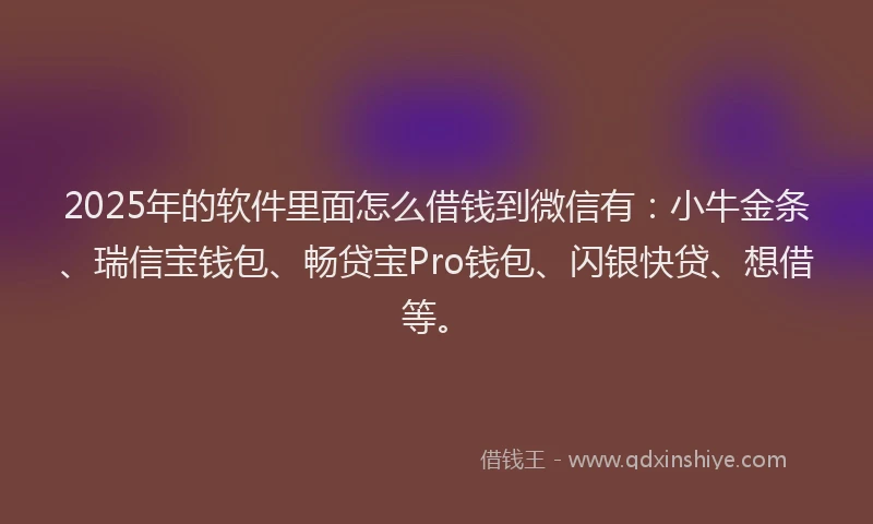 2025年的软件里面怎么借钱到微信有：小牛金条、瑞信宝钱包、畅贷宝Pro钱包、闪银快贷、想借等。