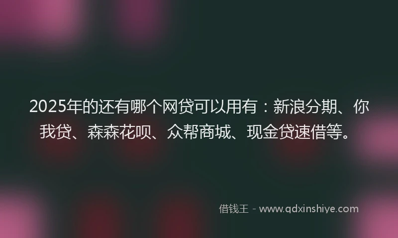 2025年的还有哪个网贷可以用有：新浪分期、你我贷、森森花呗、众帮商城、现金贷速借等。